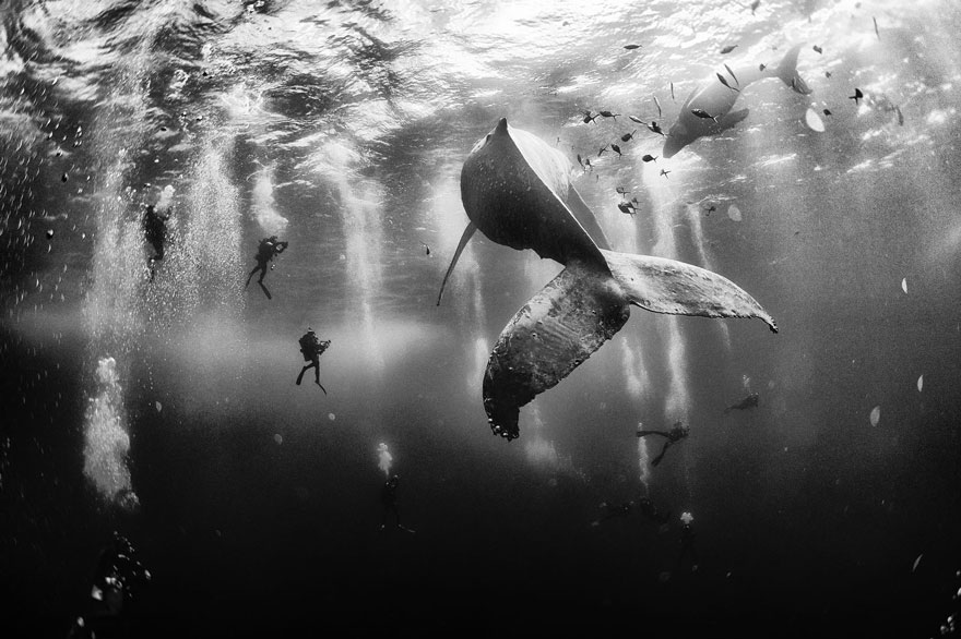 2015 National Geographic Traveler Photo Contest winners