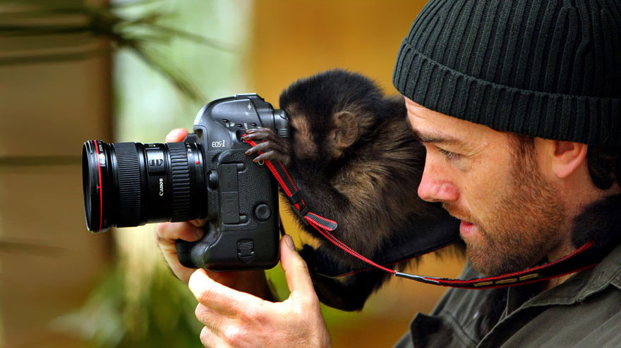 animals with camera